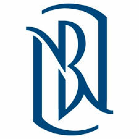 BlueNile Logo